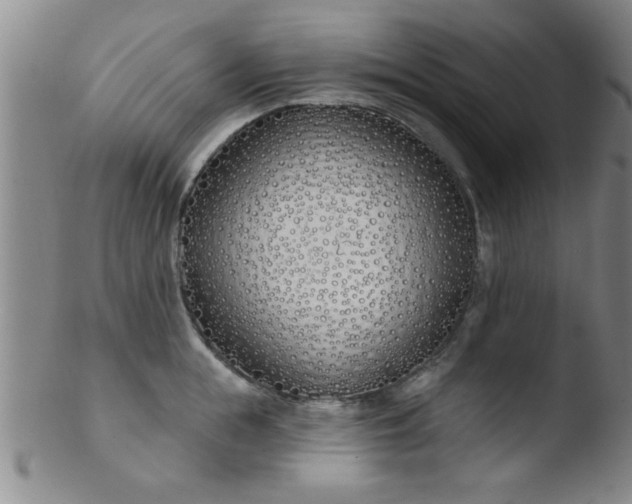 X0000103490855200809261949