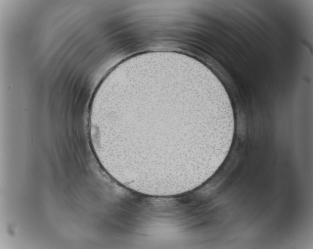 X0000103490856200809261949