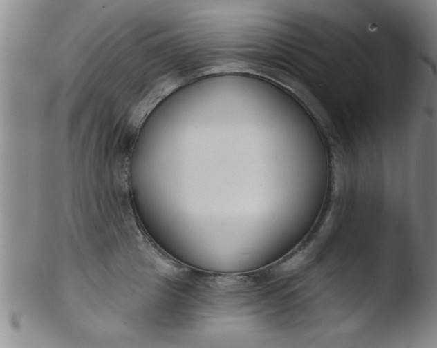 X0000103490857200809261949