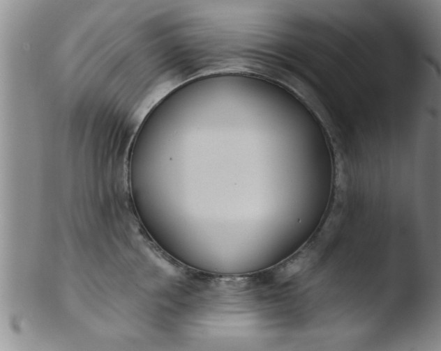 X0000103490858200809261949