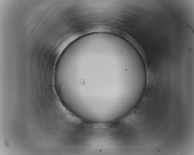 X0000103490861200809261949