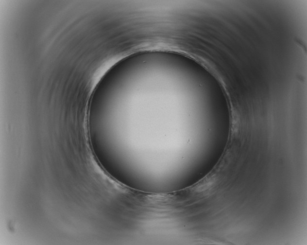 X0000103490863200809261949