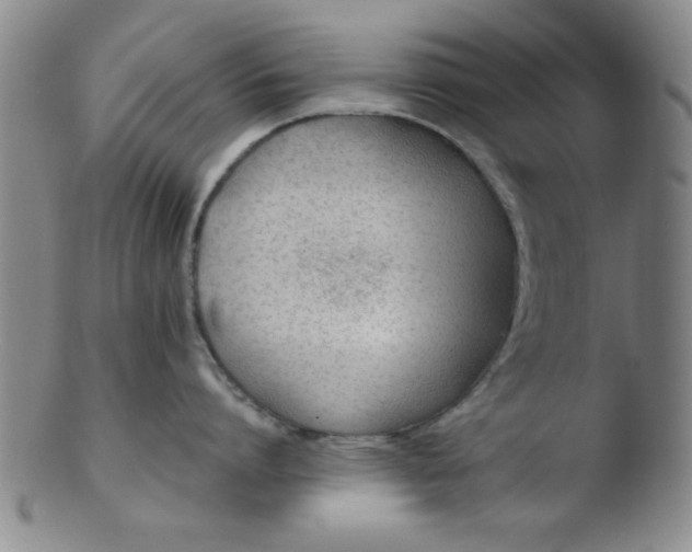 X0000103490864200809261949