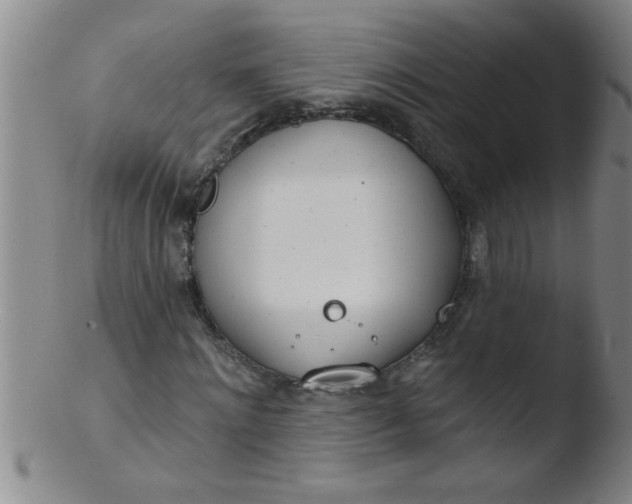 X0000103490868200809261948