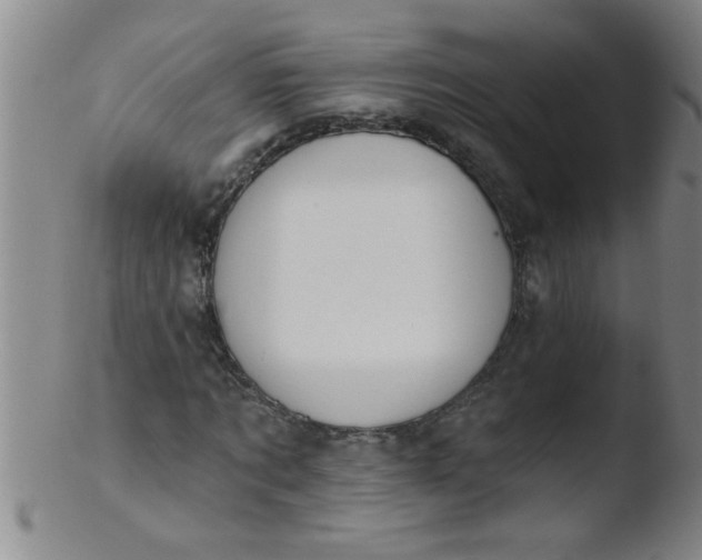 X0000103490869200809261948