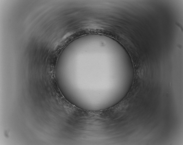 X0000103490870200809261948