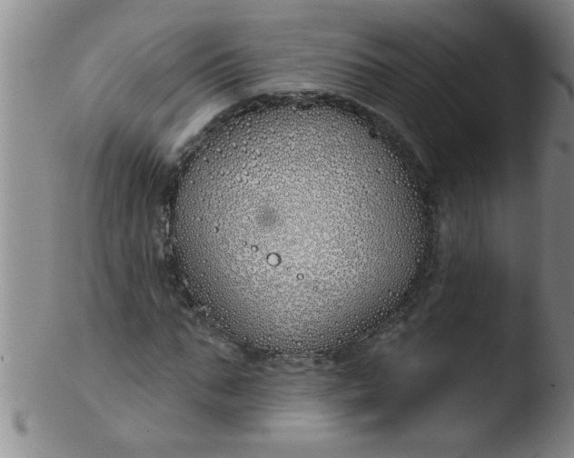 X0000103490871200809261948