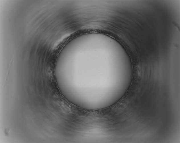 X0000103490872200809261948