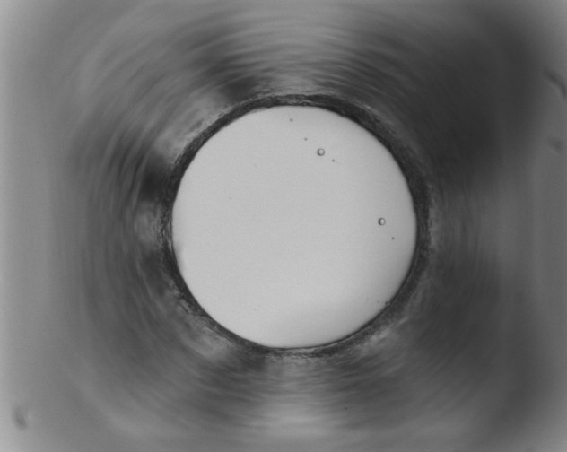 X0000103490873200809261948