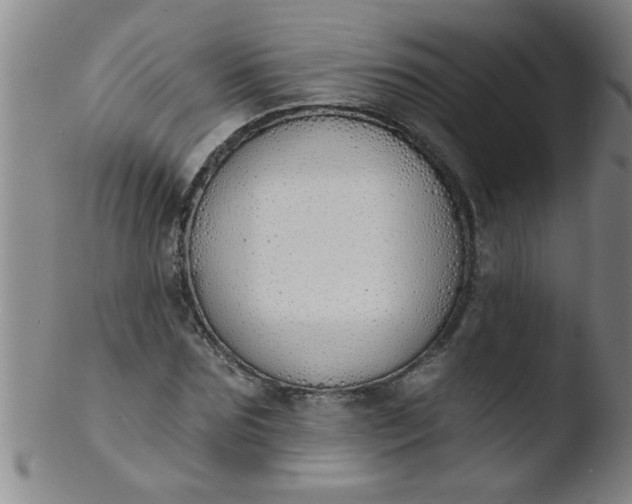 X0000103490875200809261948