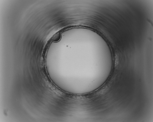 X0000103490876200809261948