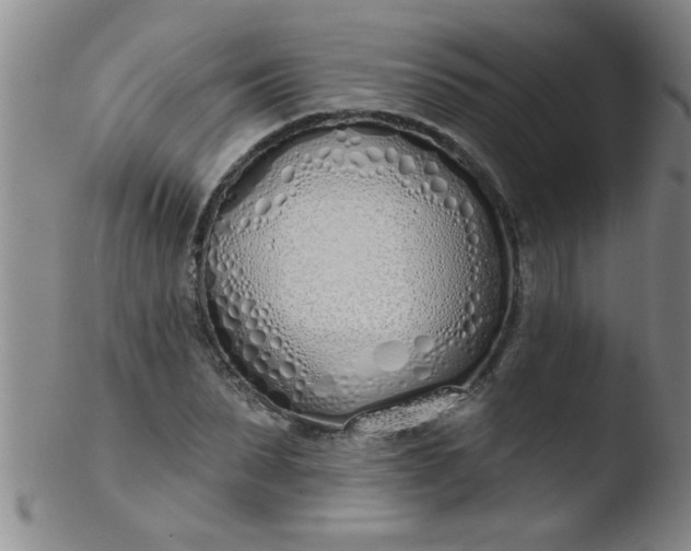 X0000103490879200809261948