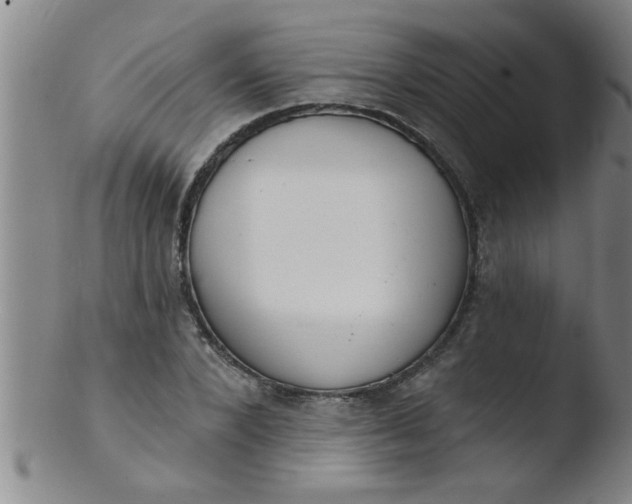 X0000103490880200809261948