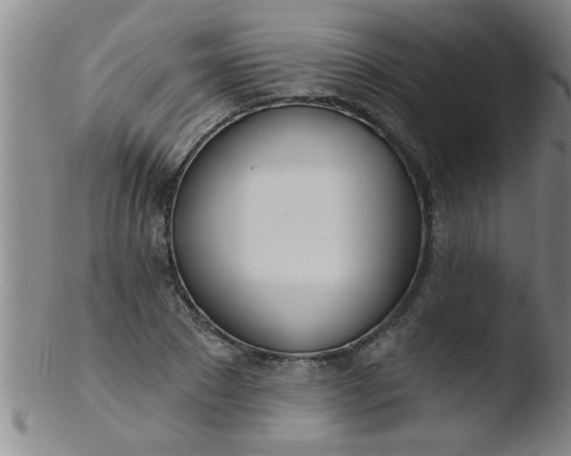 X0000103490881200809261948