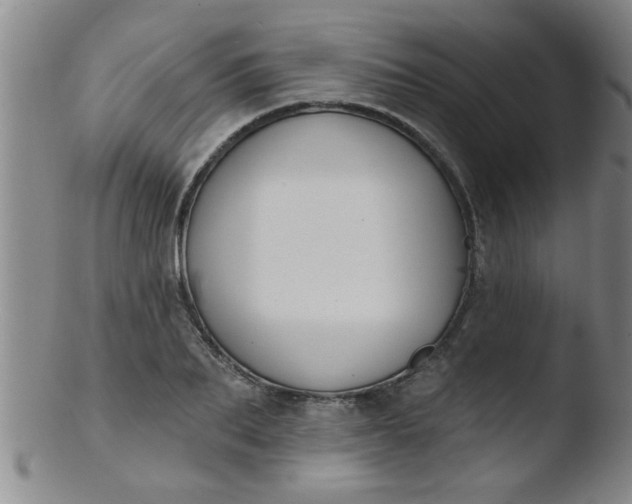 X0000103490887200809261948