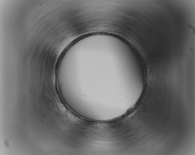 X0000103490888200809261948