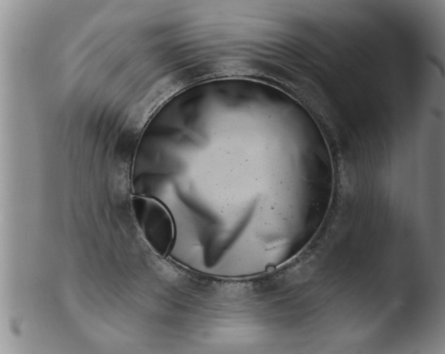 X0000103490889200809261948