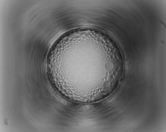 X0000103490891200809261948