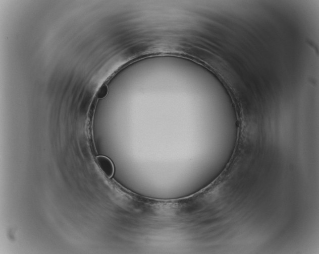 X0000103490893200809261948