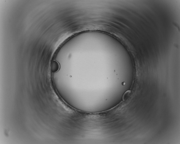 X0000103490894200809261948