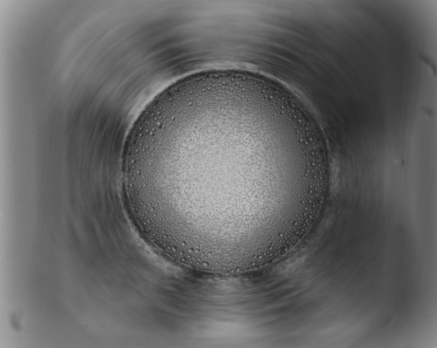 X0000103490895200809261948