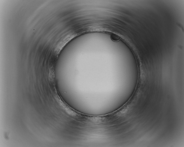 X0000103490897200809261948