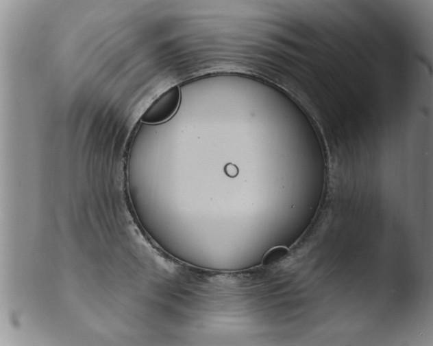 X0000103490898200809261948