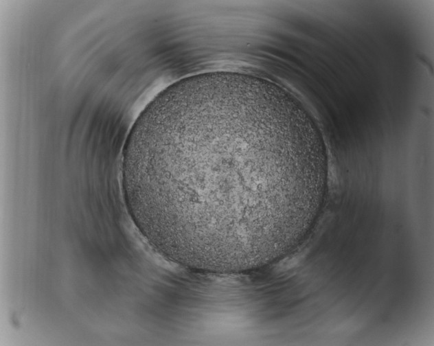 X0000103490899200809261948