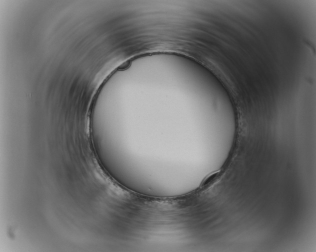 X0000103490900200809261948