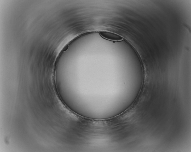 X0000103490901200809261948