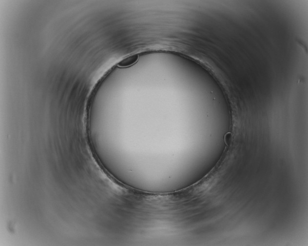 X0000103490902200809261948