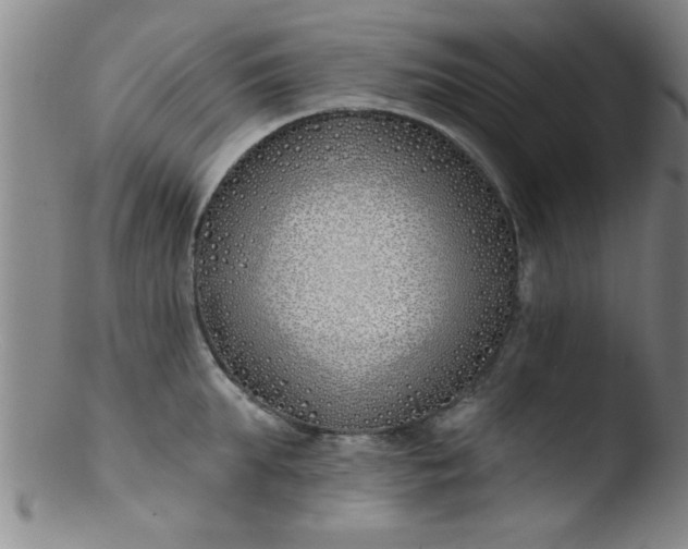 X0000103490903200809261948