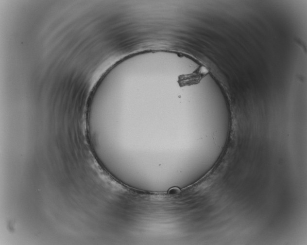 X0000103490904200809261948