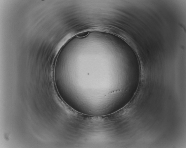 X0000103490907200809261948