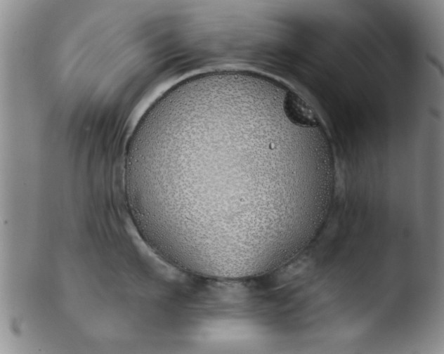 X0000103490911200809261948