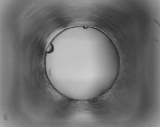 X0000103490912200809261948