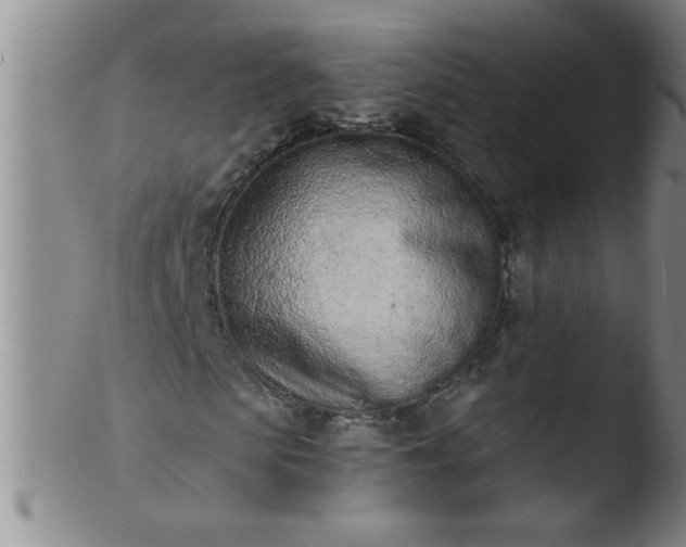 X0000103490913200809261947