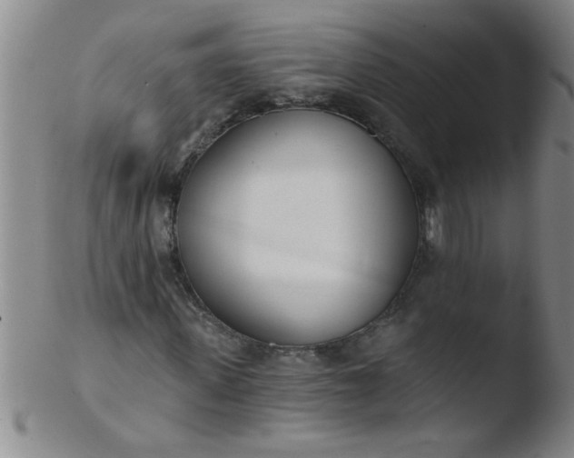 X0000103490915200809261947