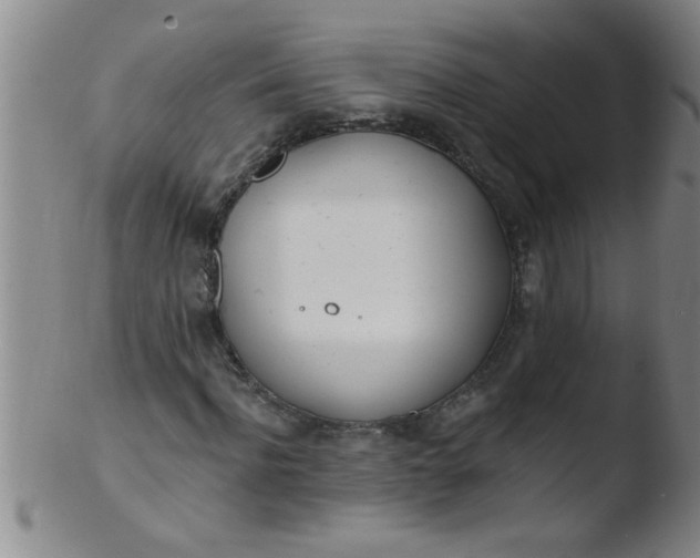 X0000103490916200809261947