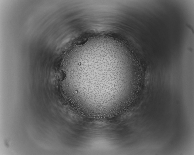 X0000103490917200809261947