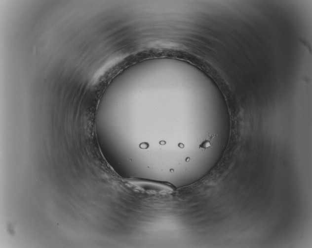 X0000103490919200809261947