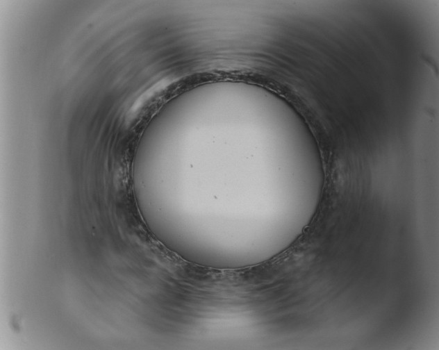 X0000103490920200809261947