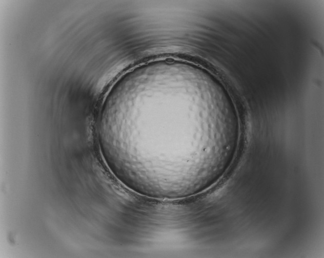 X0000103490921200809261947