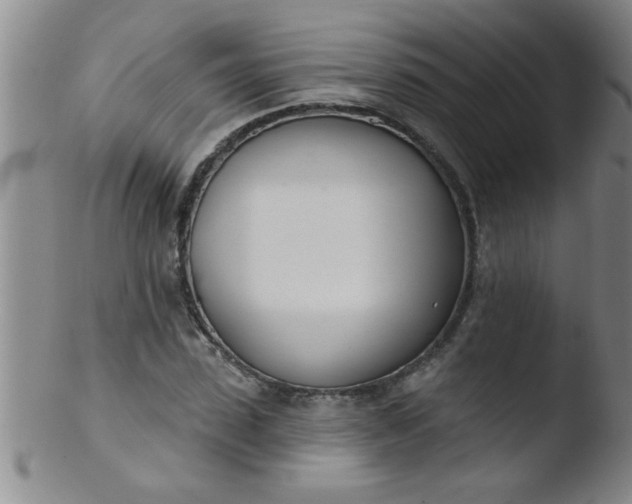 X0000103490923200809261947