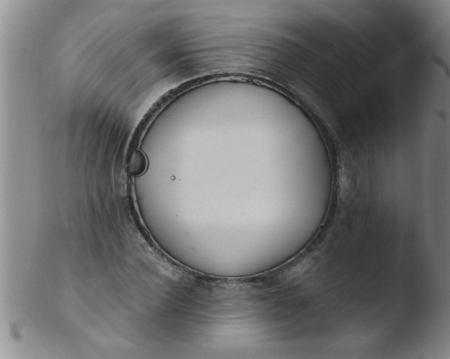 X0000103490924200809261947