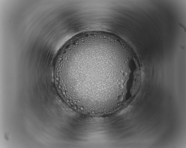 X0000103490925200809261947