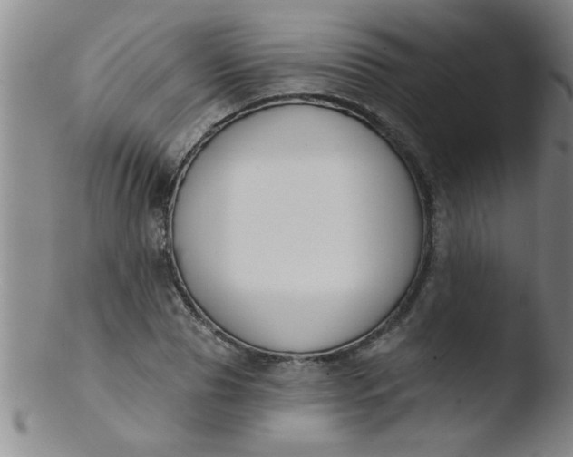 X0000103490929200809261947