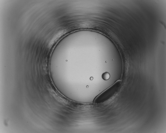 X0000103490930200809261947