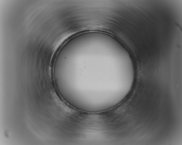 X0000103490932200809261947