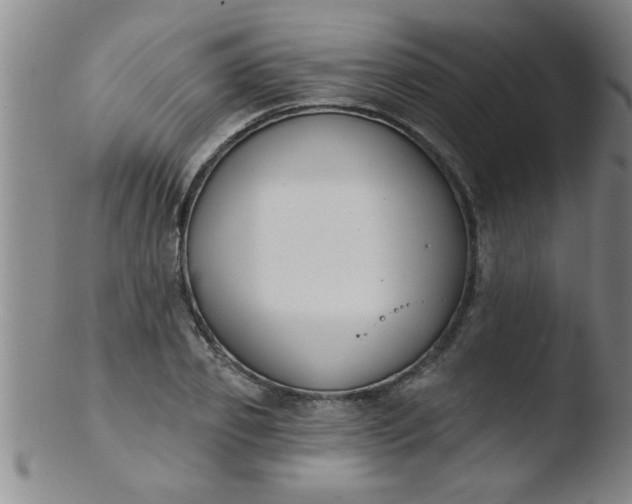 X0000103490933200809261947